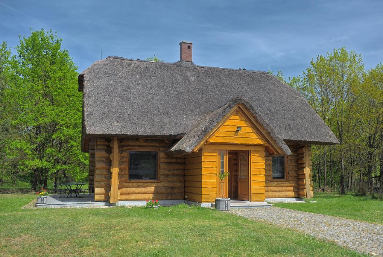 Dom Pod Sosnami Villa Gryzyna Exterior photo