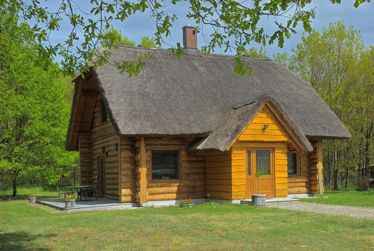 Dom Pod Sosnami Villa Gryzyna Exterior photo